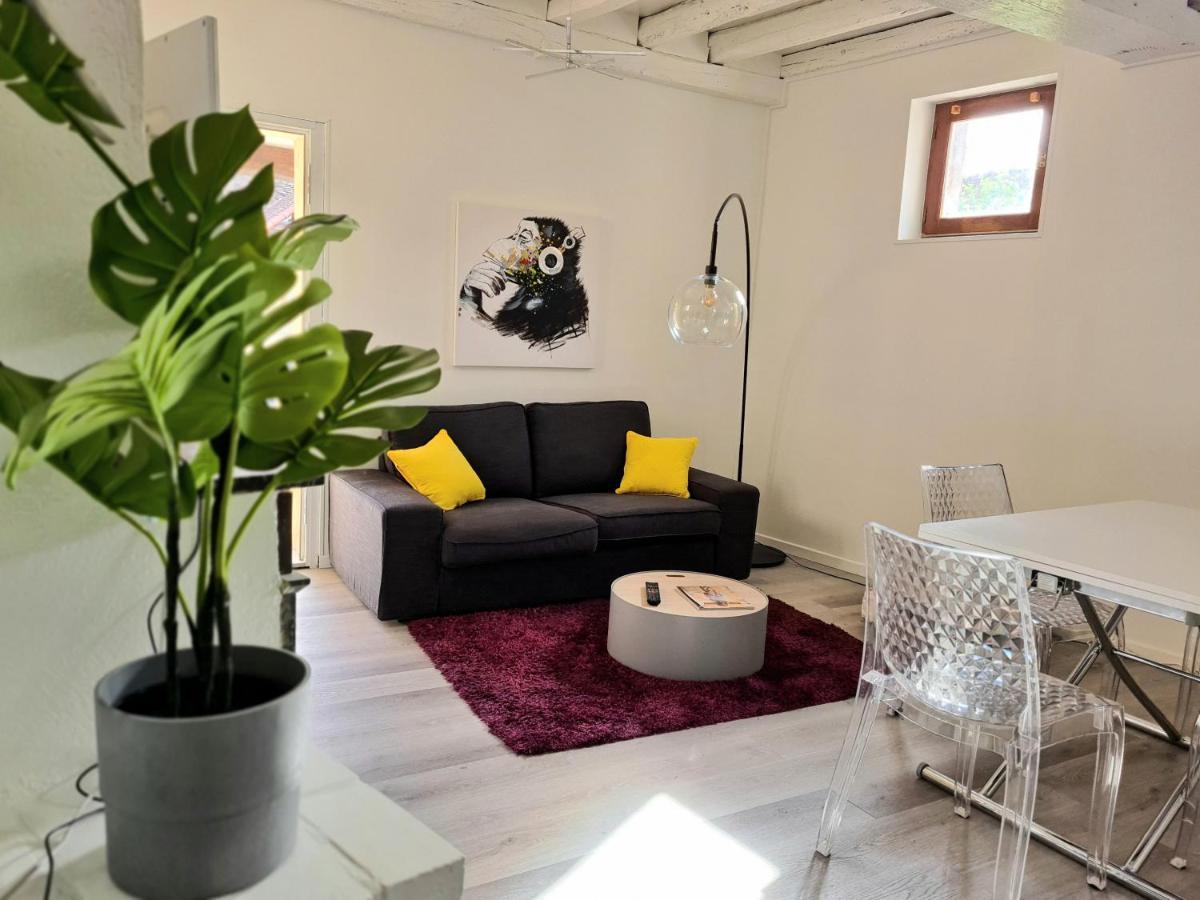 Maison Charme Avec Terrasse Hypercentre, Tres Calme Joigny Exterior foto